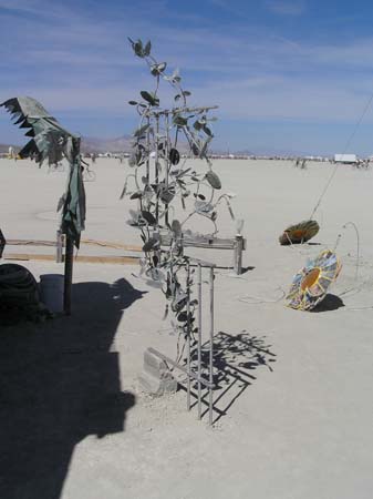 P8310055