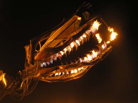P9010106