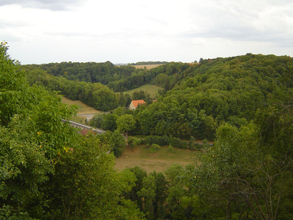 DSC00132